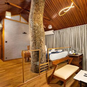 LUXURY TREE HOUSE